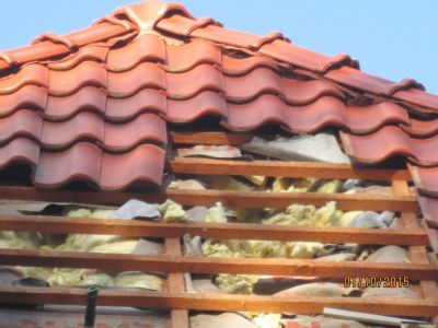 szkody wyrządzone przez kuny w dachu