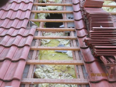 szkody wyrządzone przez kuny w pokryciu dachu