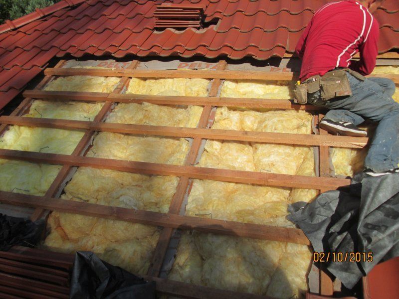 Naprawa dachu i ochrona przed kunami