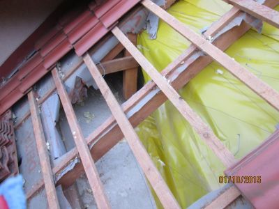 szkody wyrządzone przez kuny w dachu